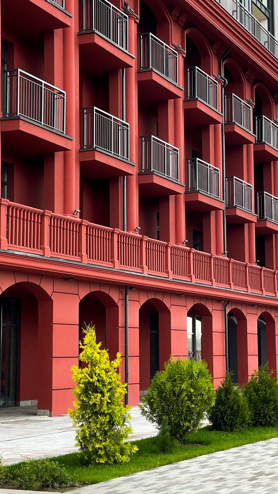 Фотография автора Елена Меньшикова