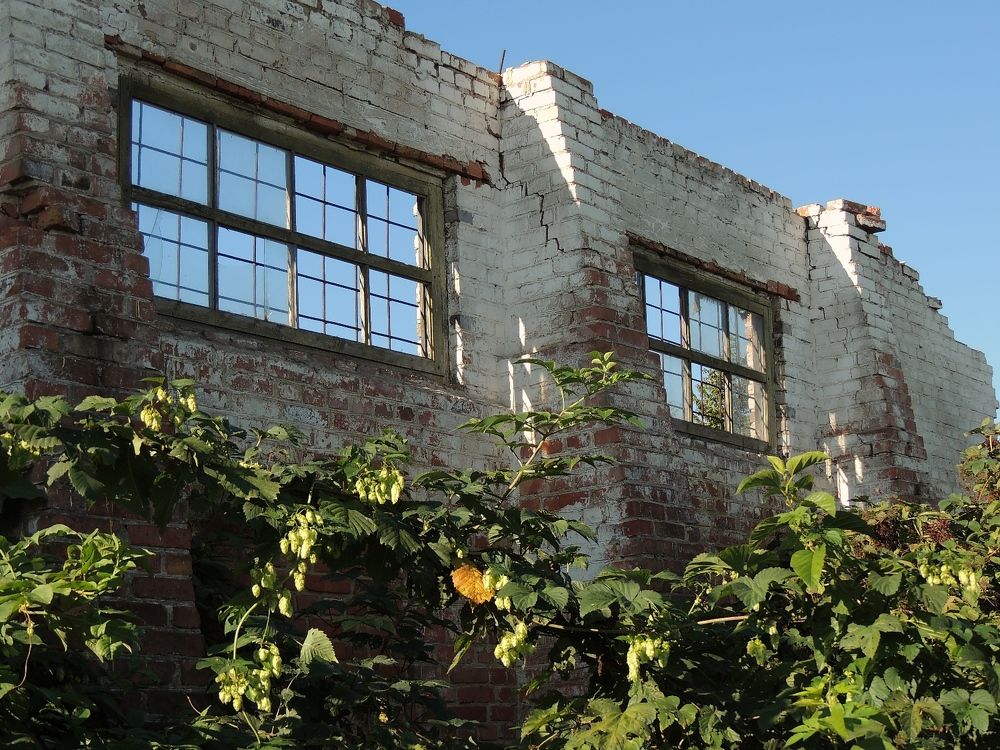 Фотография автора Роман Савоцкий