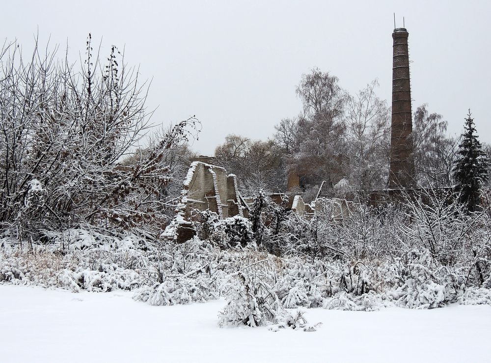 Photograph by Савоцкий Роман