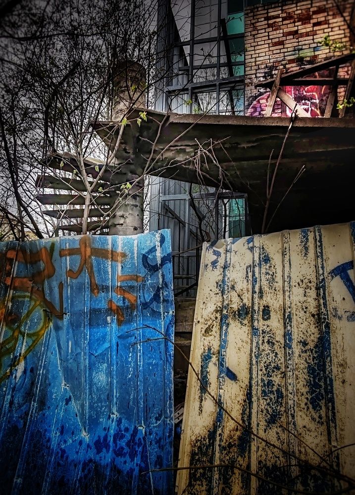 Photograph by Дайана