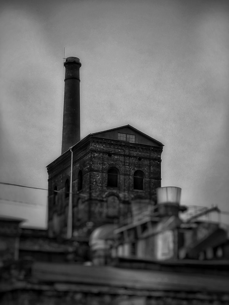 Photograph by Дайана