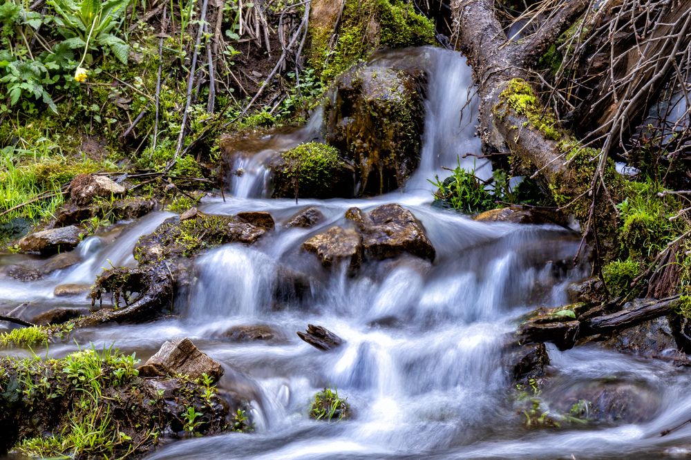 Photograph by Vitaly Lapin