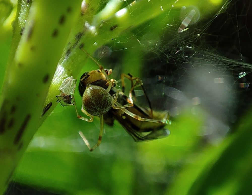 Photograph by Kapil Singh