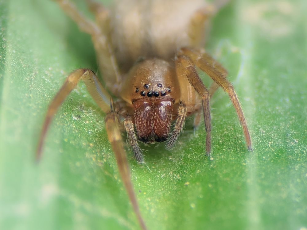 Photograph by Sumitava Chowdhury