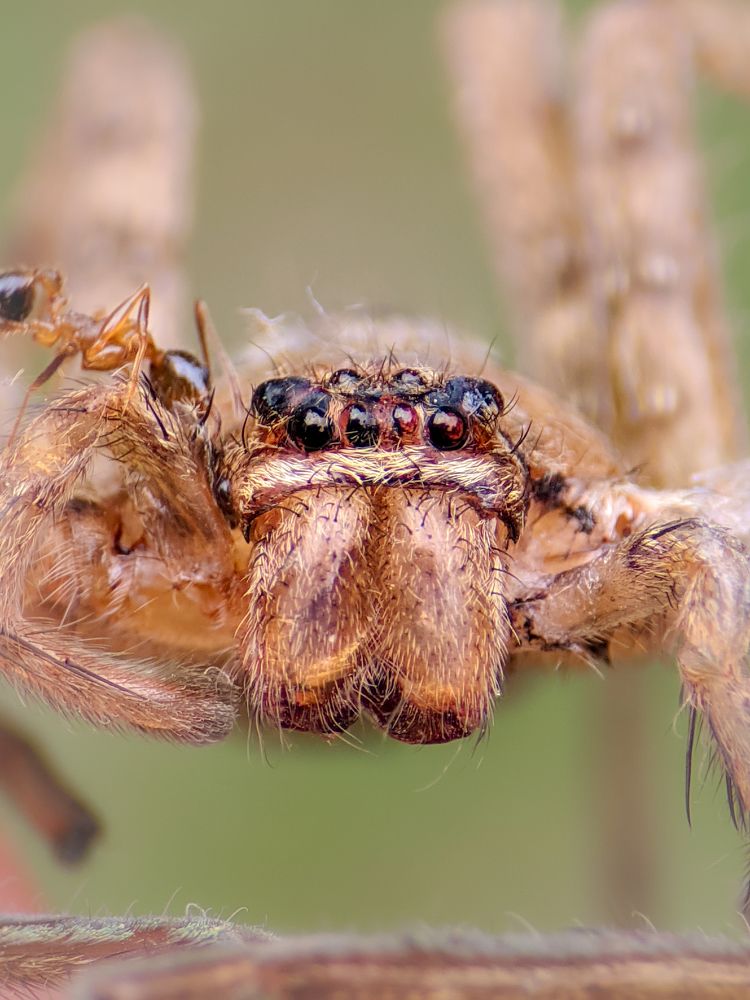 Photograph by Sumitava Chowdhury