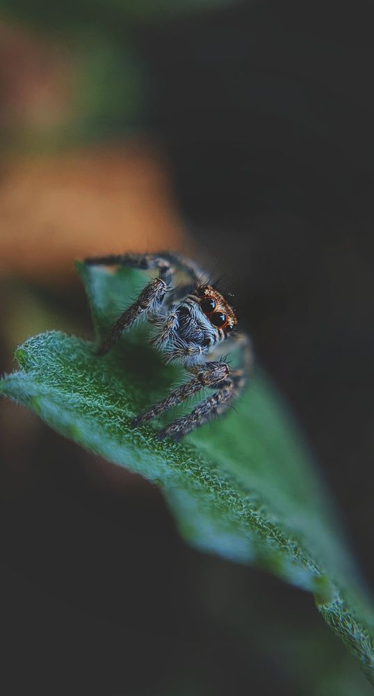 Photograph by Ольга Веселова