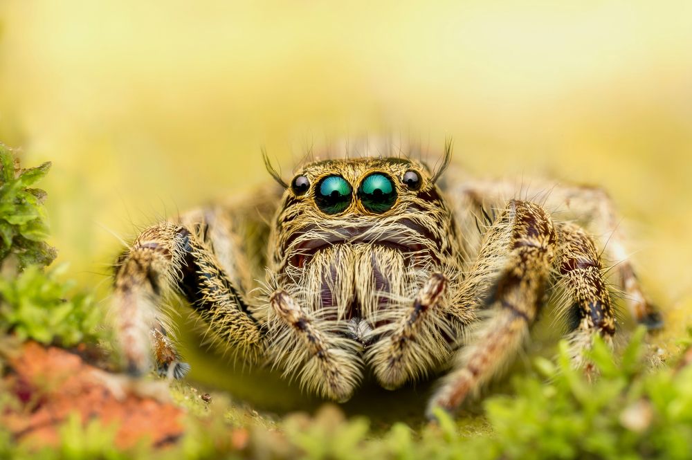 Photograph by Anson As