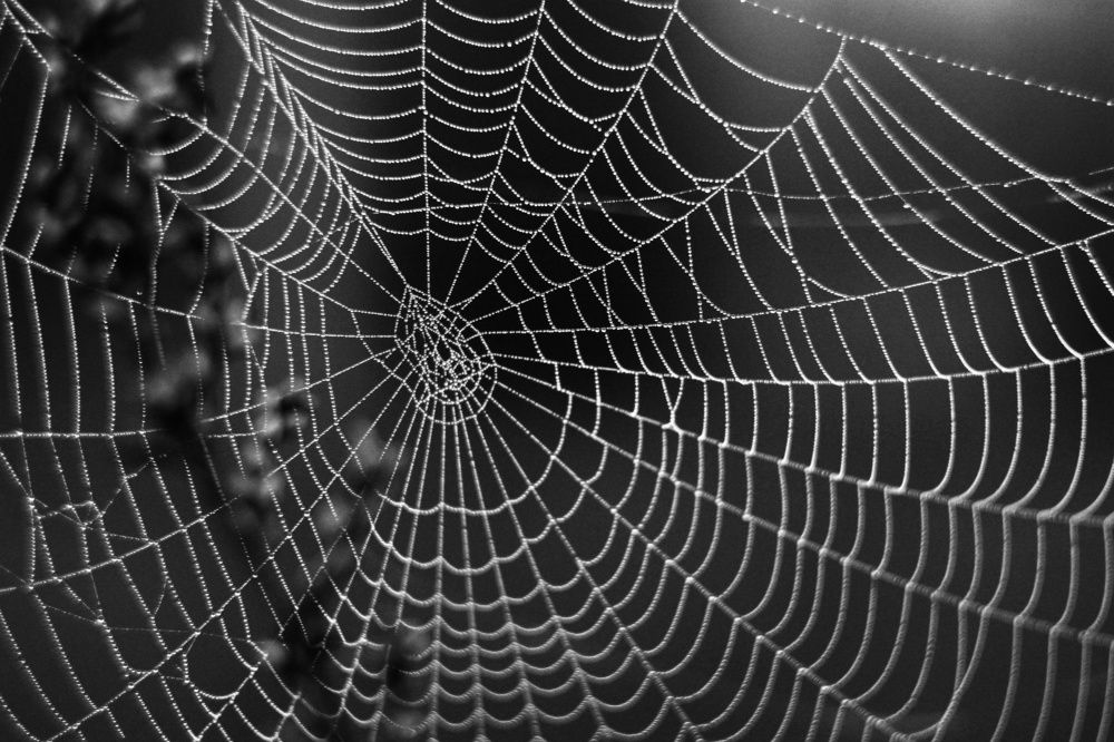 Photograph by Инна Карасева