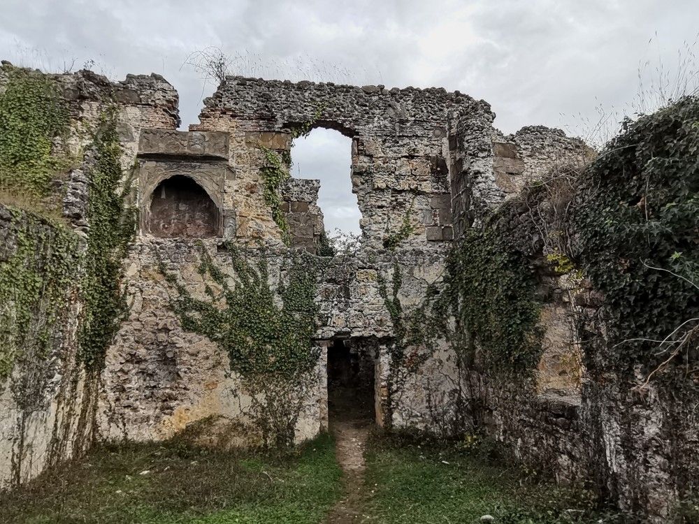 Photograph by Ирина Садовникова