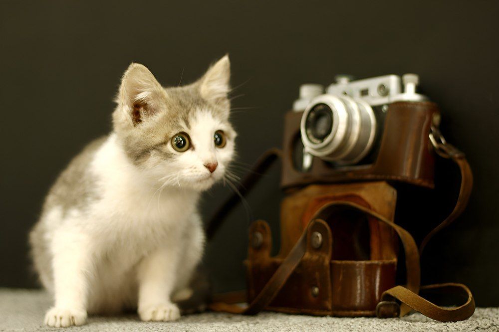 Photograph by Света Троянова