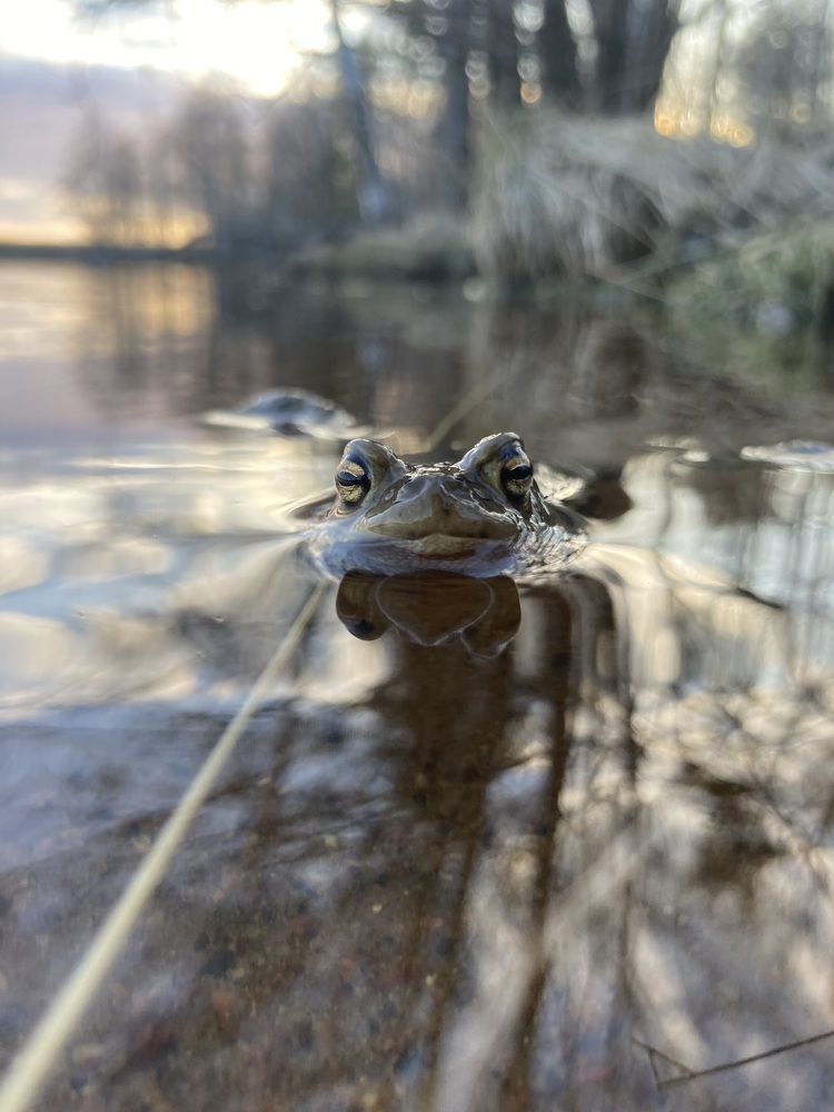 Фотография автора Алина Павлова