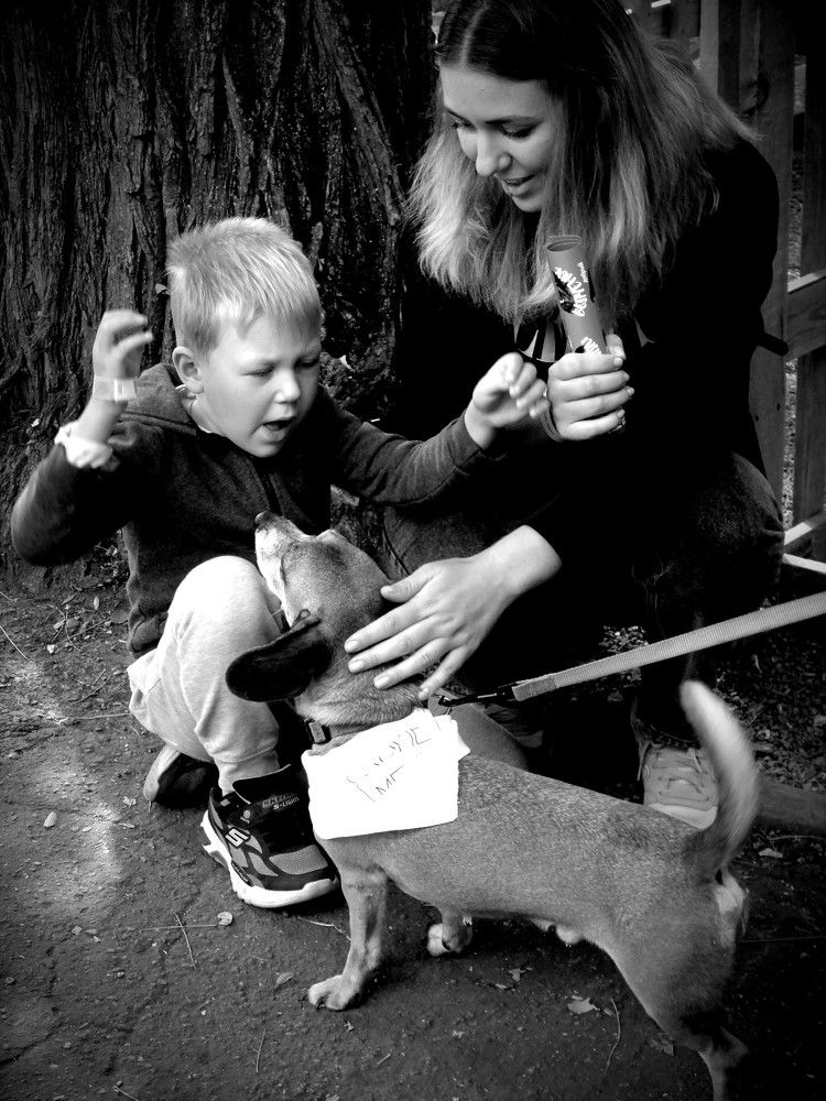 Photograph by Дмитрий Соколов