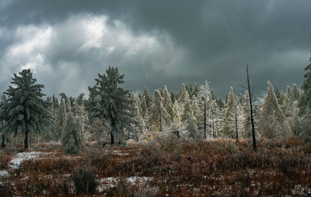 Photograph by Batjargal Lkhagvasuren