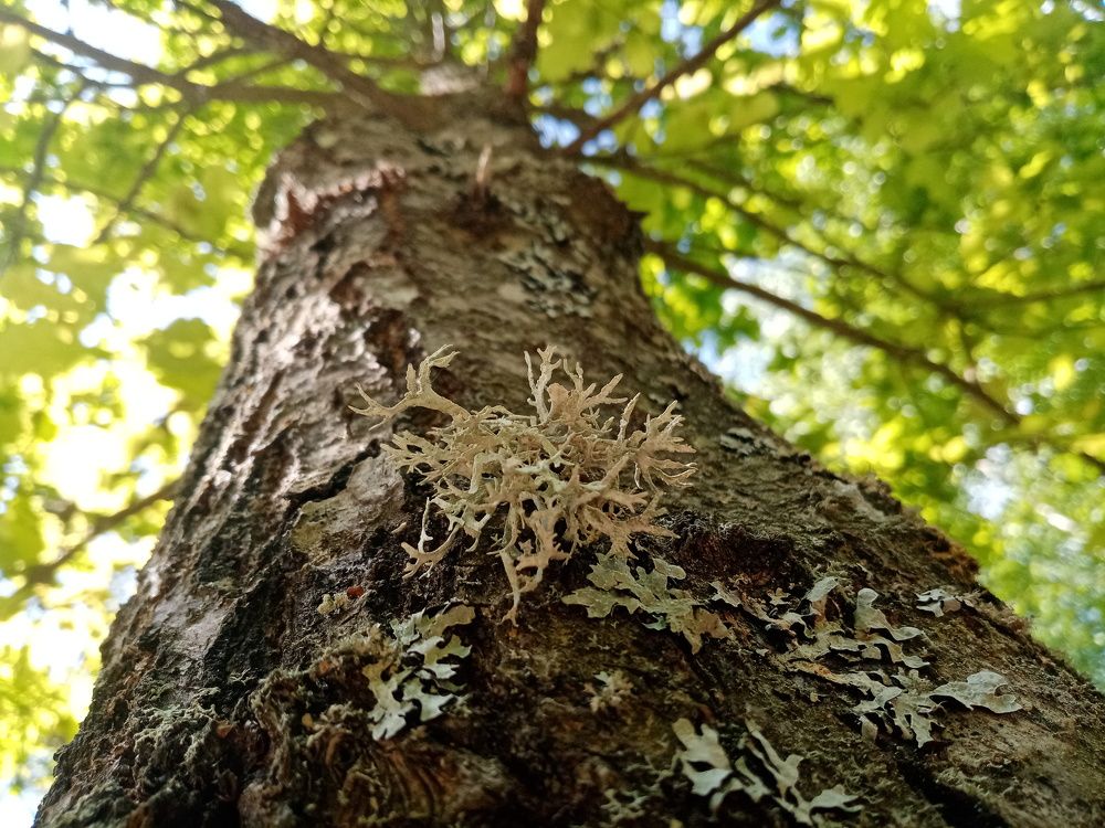 Photograph by Михаил Царикевич