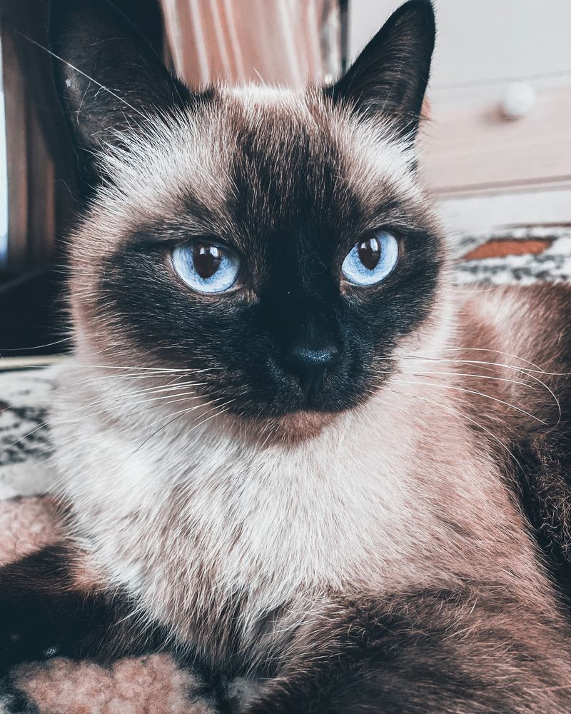 Photograph by Оврас Елена