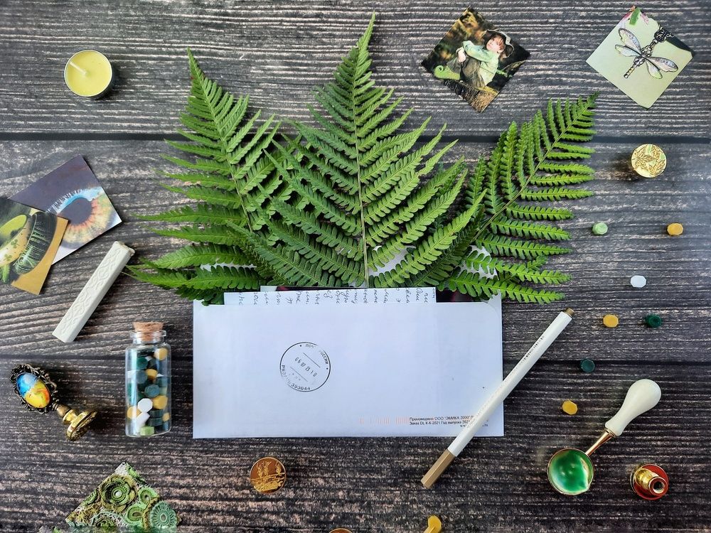 Photograph by Ирина Бочарова