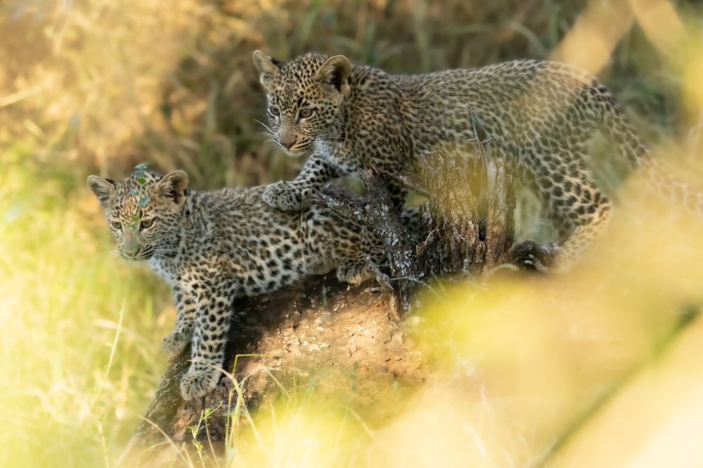 Photograph by Raquel Barao