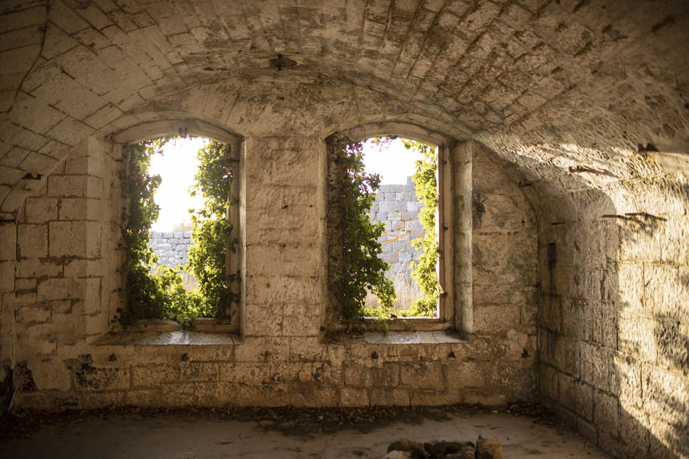 Photograph by ИРЕНА Цурпал