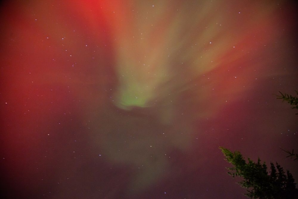 Photograph by Сагдиева Эльвира