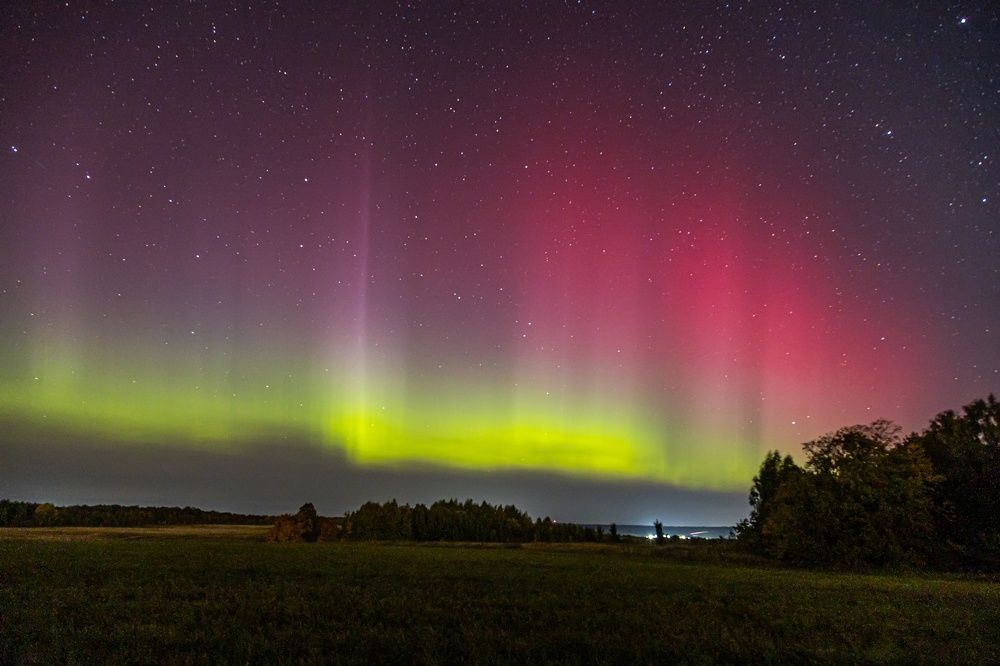 Photograph by Сагдиева Эльвира