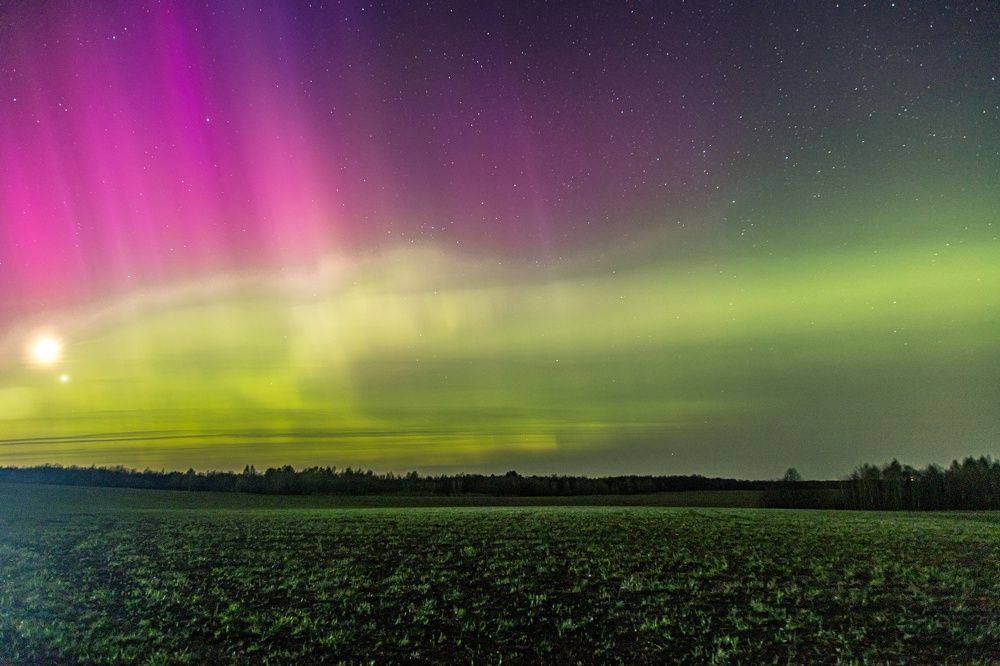 Photograph by Сагдиева Эльвира