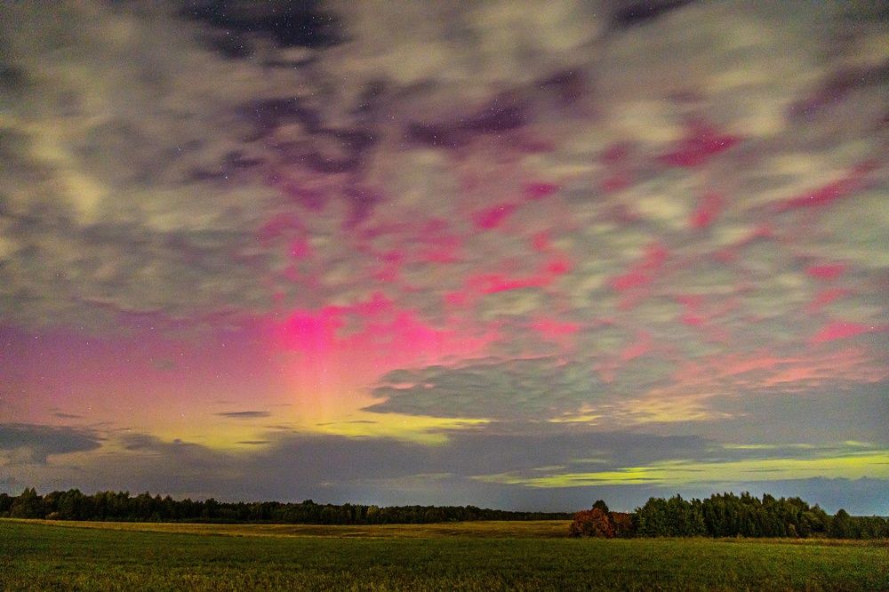 Photograph by Сагдиева Эльвира