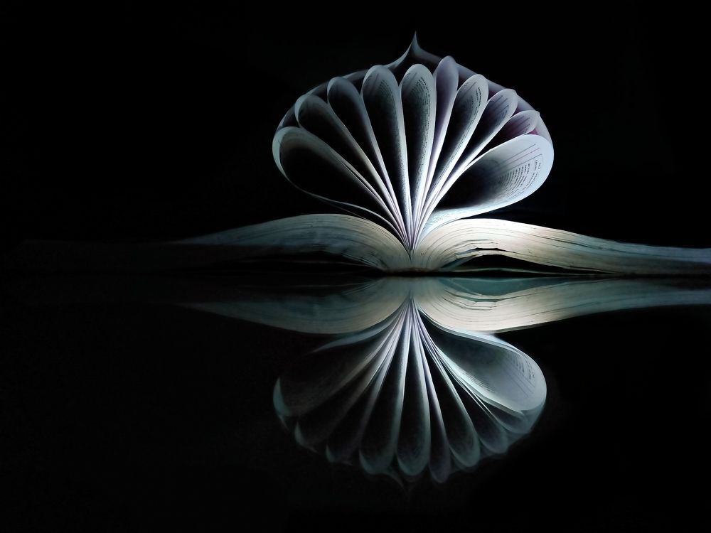 Photograph by Souvik Bhattacharyya