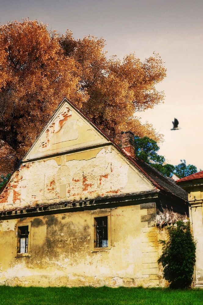 Photograph by Jaroslav Sameš