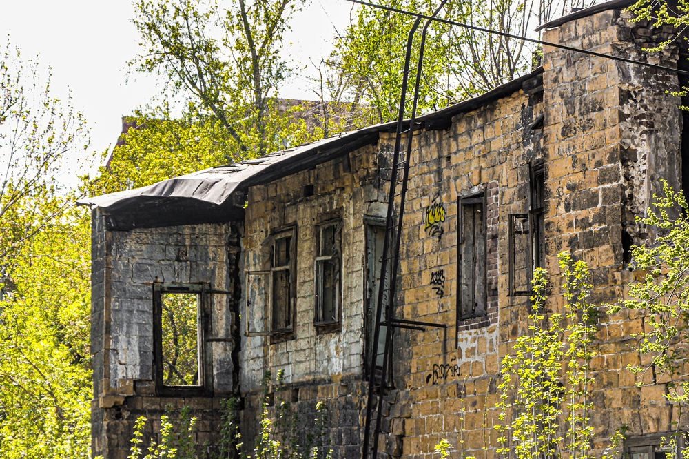 Photograph by Владимир Сушкин