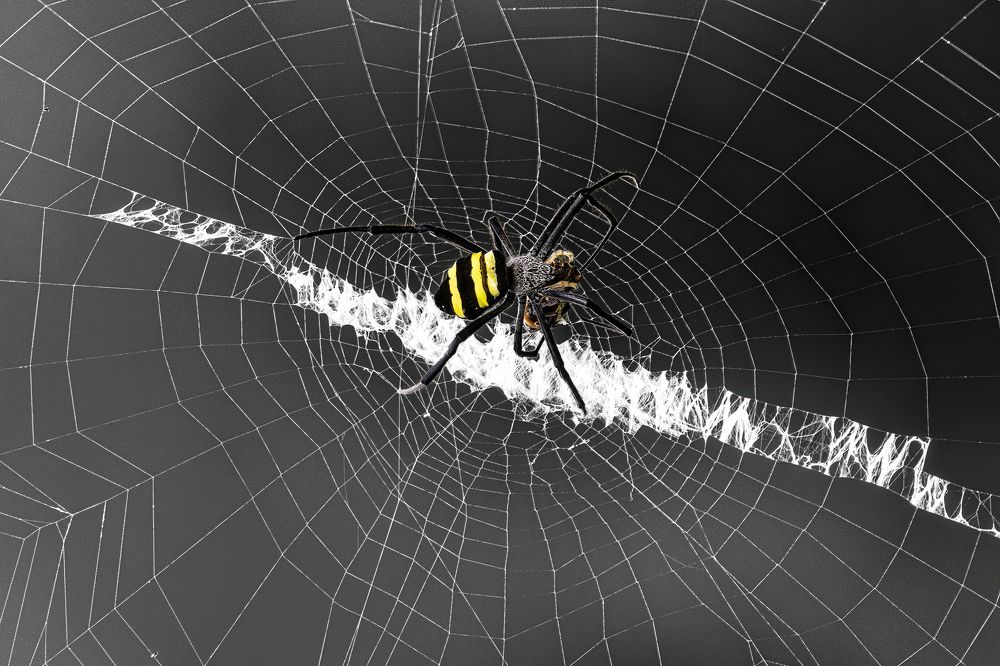 Photograph by NGUYEN HAI