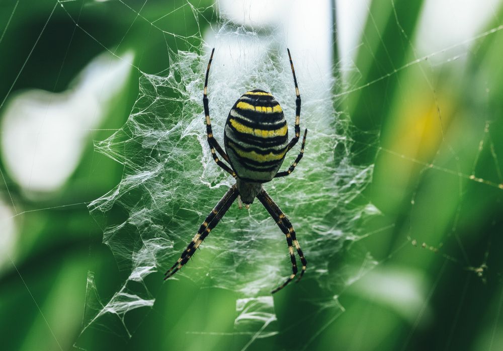 Photograph by Leanid Kulpo