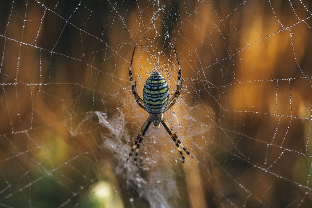 Photograph by Leanid Kulpo