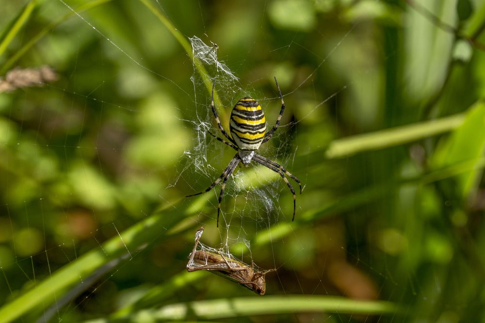 Photograph by Leanid Kulpo