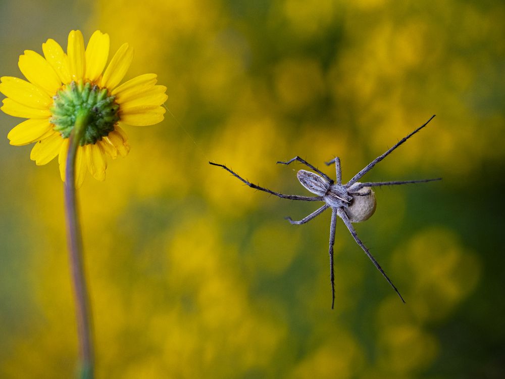 Photograph by FABIO SARTORI