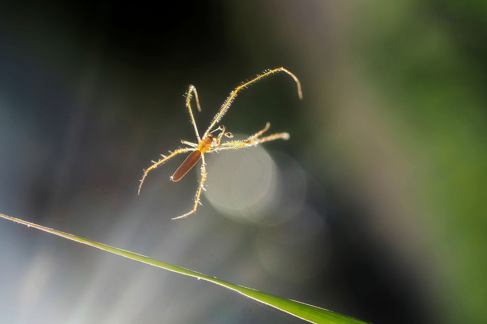 Photograph by FABIO SARTORI