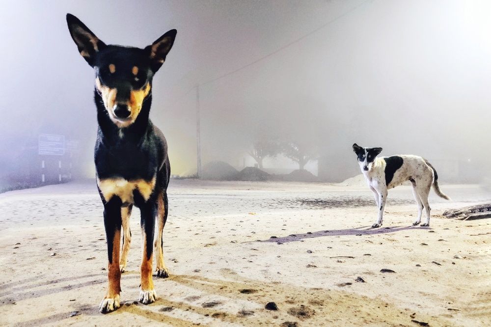 Photograph by Abdullah Ibne Meraj