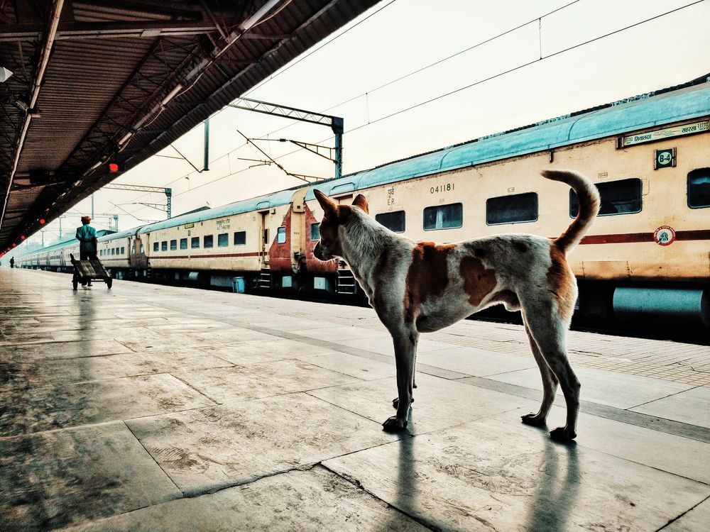 Photograph by Abdullah Ibne Meraj