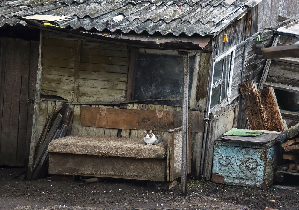 Photograph by Алексей Патлах