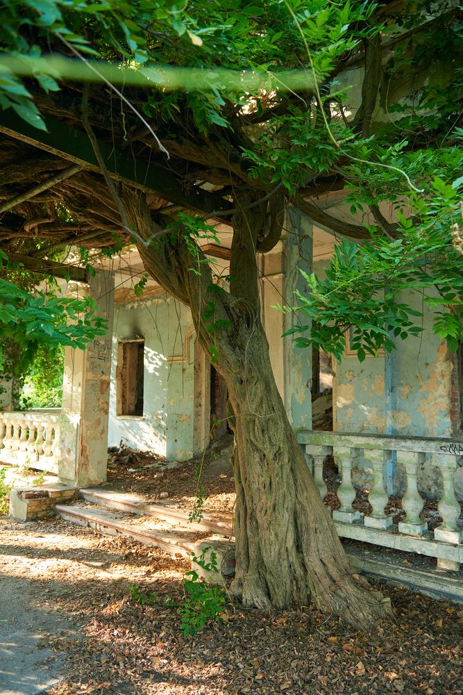 Photograph by Владимир Греков