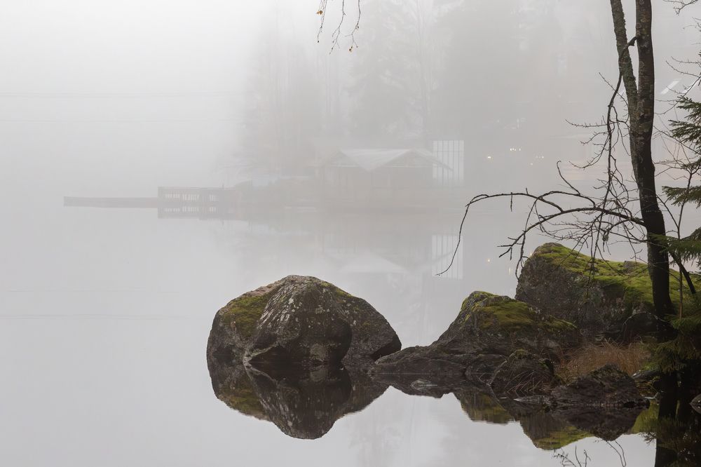 Photograph by Юлия Куликова