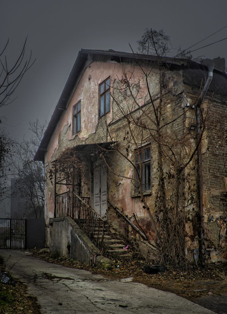 Photograph by Тетельман Давид