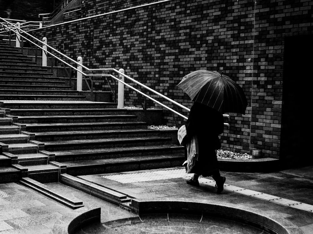 Photograph by Kazumichi SUZUKI