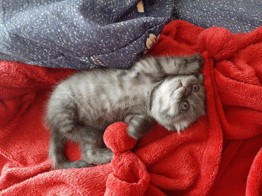 Photograph by Анастасия Никулина