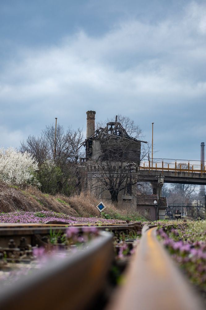 Photograph by Милан Ђорђевић