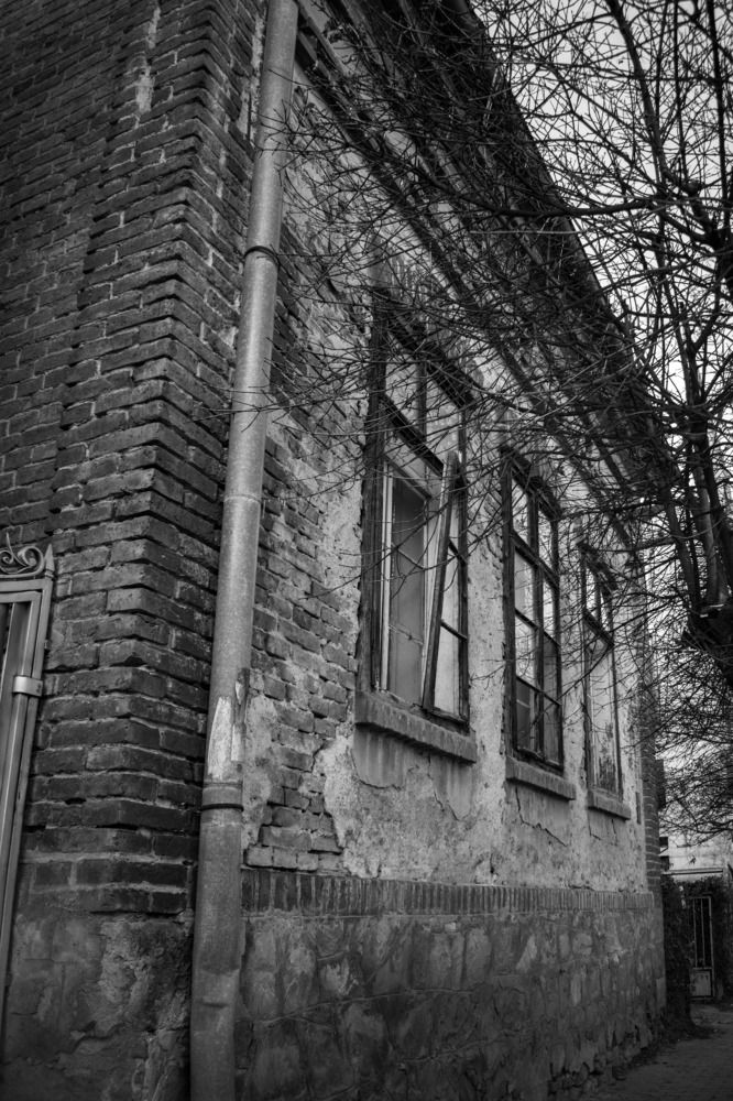 Photograph by Милан Ђорђевић