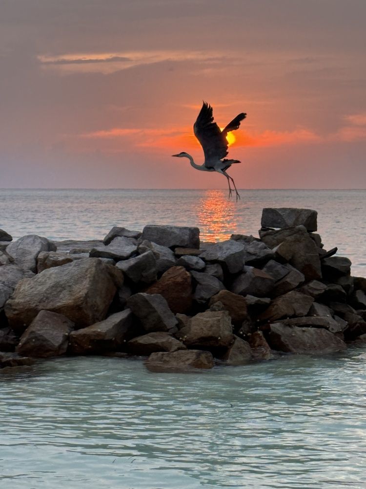 Photograph by Татьяна Маслова