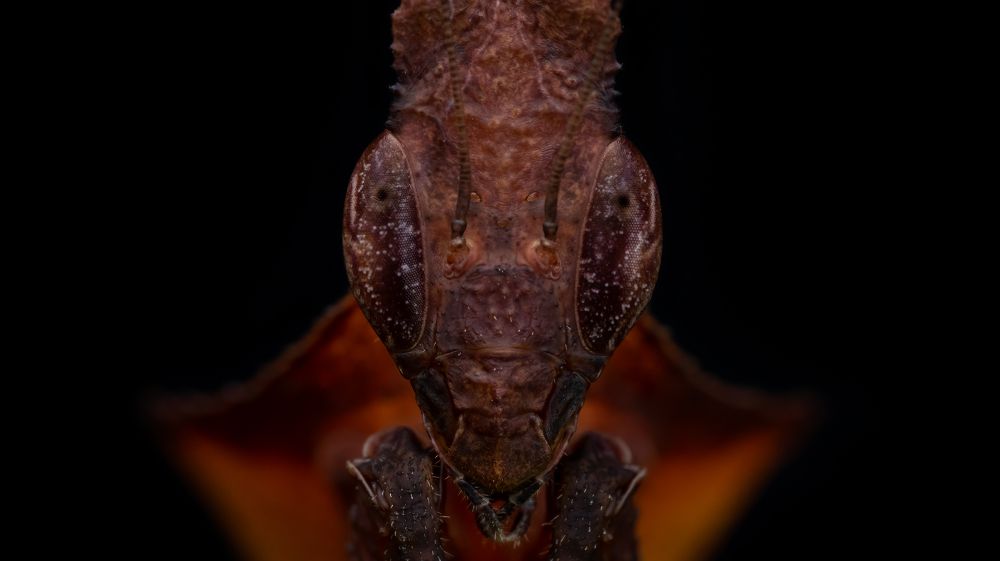 Photograph by Milena Drljaca