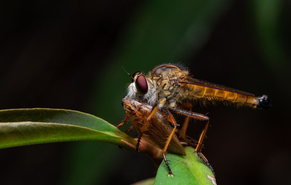 Photograph by Milena Drljaca