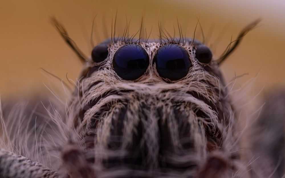 Photograph by Milena Drljaca