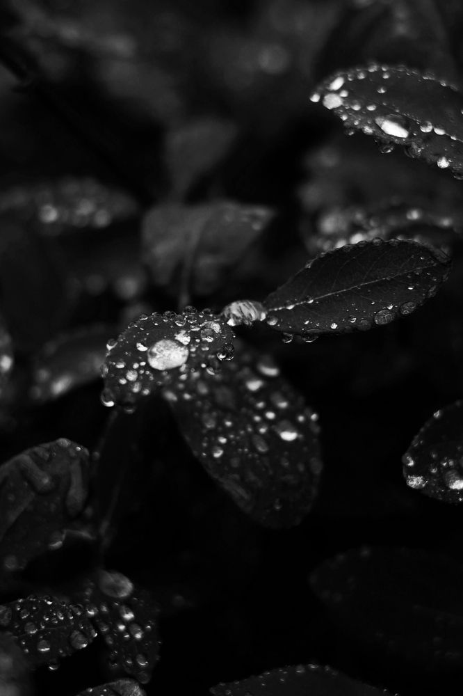 Photograph by Илья Медведев
